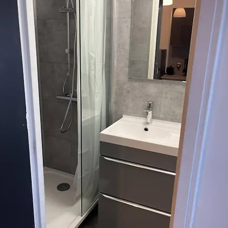 Proche Du Centre 公寓 布雷斯特